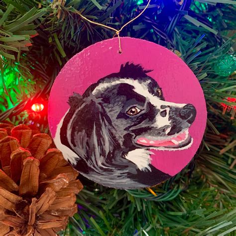 Hand Painted Pet Ornaments