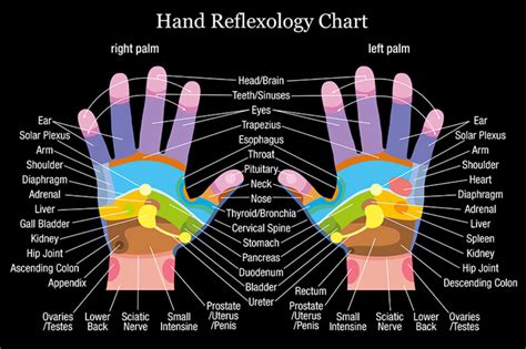 Hand Reflexology Chart