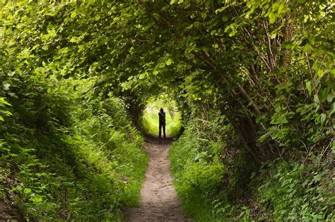 Embracing Harmony with Nature