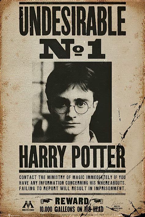 Harry Potter Wanted Poster 1