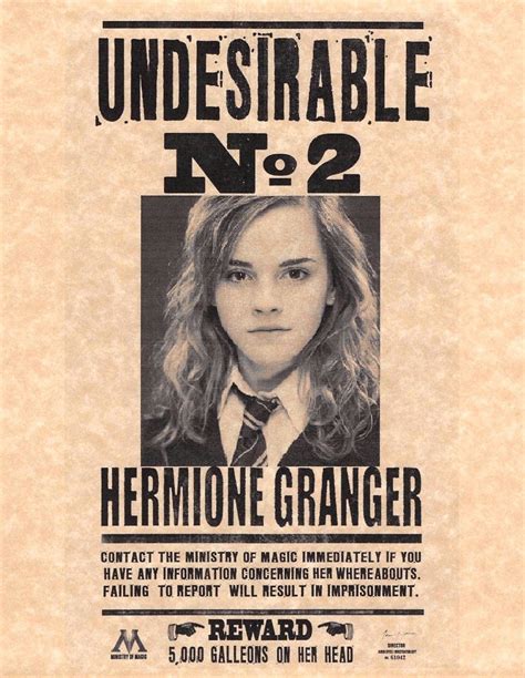 Harry Potter Wanted Poster Example 2