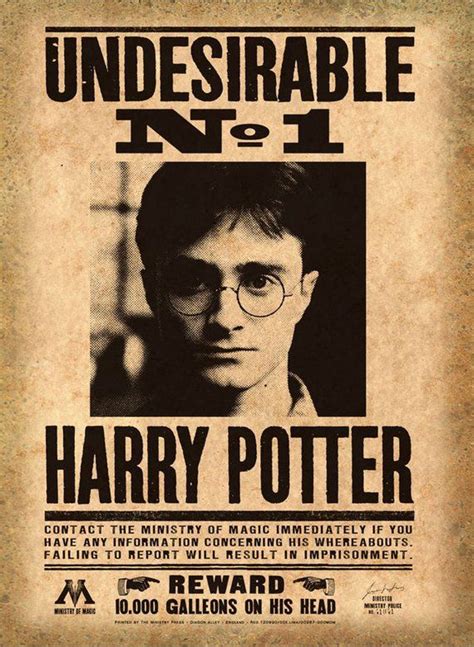 Harry Potter Wanted Poster Example 4