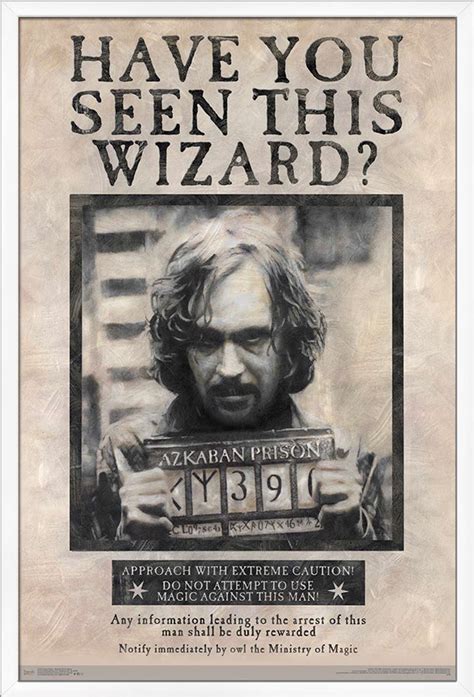 Harry Potter Wanted Poster Example 5