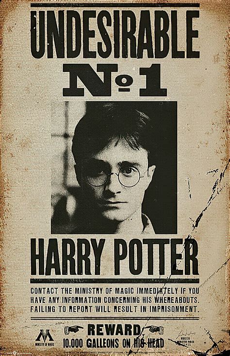 Harry Potter Wanted Poster Example 7