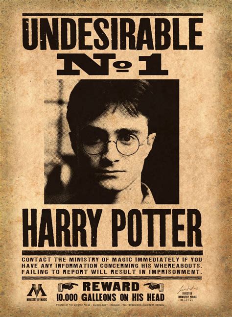 Harry Potter Wanted Poster Example 9