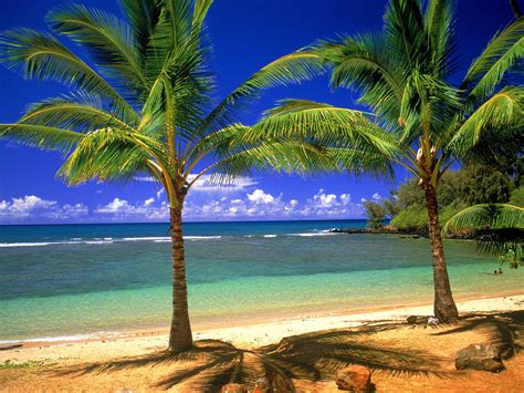 Hawaii Beach