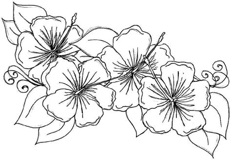 Hawaii flower coloring pages for adults