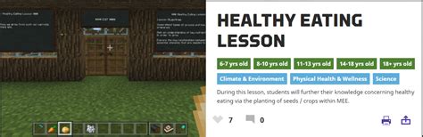 Description of Health and Wellness Minecraft