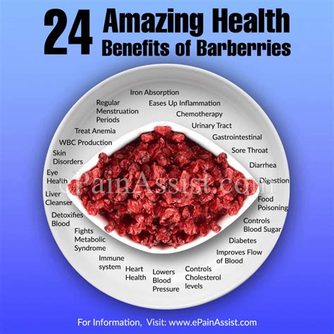 Description of Health Benefits