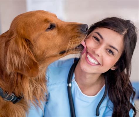 Health Guarantee Veterinary Care