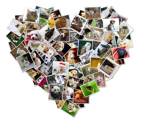 Heart Collage Example 2