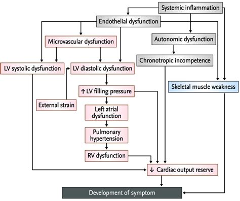 Heart Diagram Pathophysiology