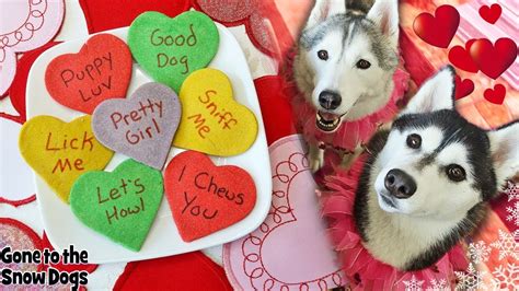 A heart dog decor idea