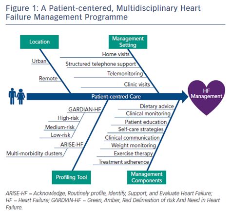 Heart failure management team