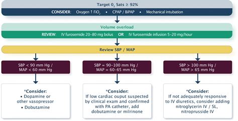 Heart Failure Management