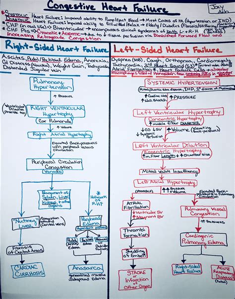 Heart Failure Pathophysiology Concept Map