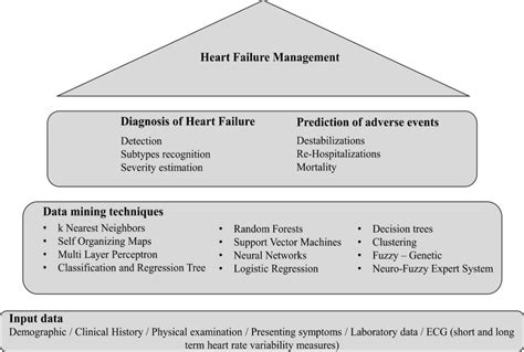 Heart Failure Research