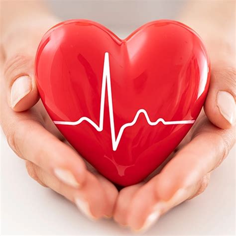 Understanding Heart Health