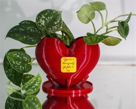 Heart-shaped flower pot