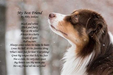 Heartwarming Dog Poetry