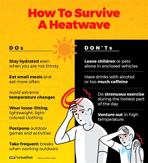 Heat wave survival tips