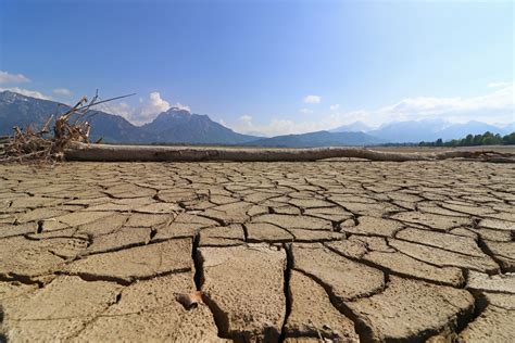 Environmental impacts of heatwaves