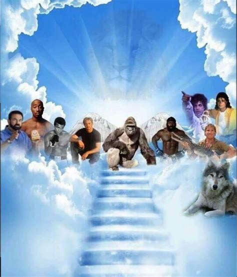 Heaven Meme Template Origin