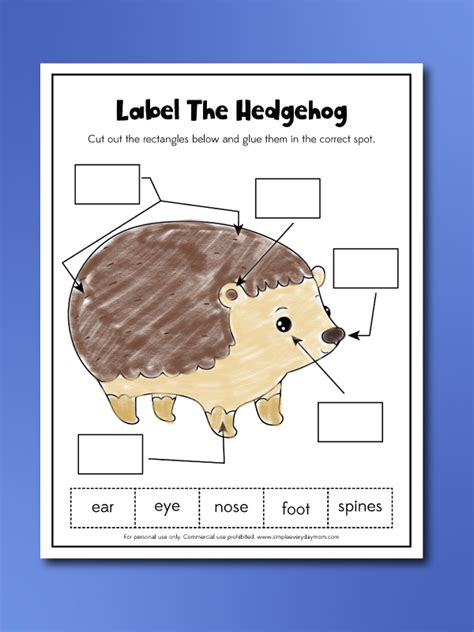 Hedgehog worksheet template with a hedgehog and math problems