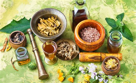 Herbal therapy introduction