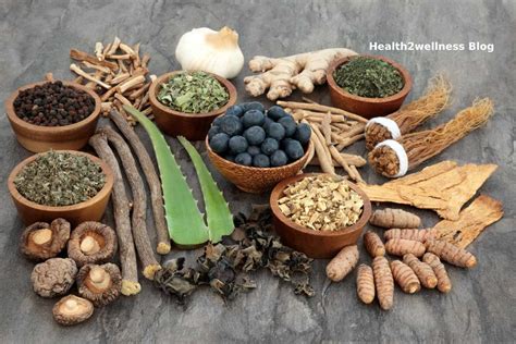 5 ways herbal therapy can improve your health