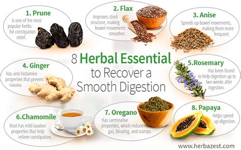 Herbal therapy for digestive health