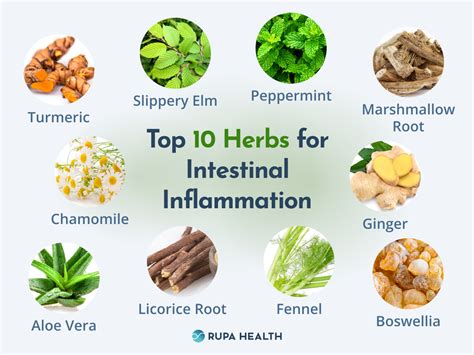 Herbal therapy for inflammatory conditions