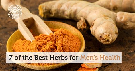 Herbal therapy for men's health