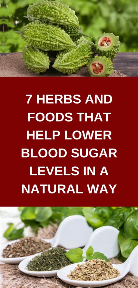 Herbs that reduce sugar cravings