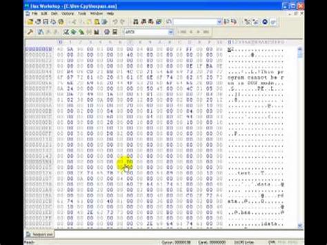 Hex Editor Password Crack