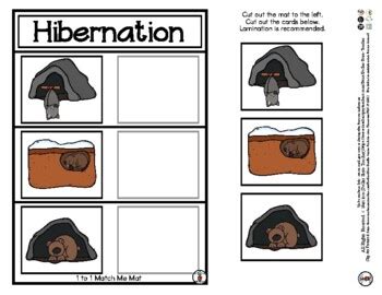 Hibernation Matching Game