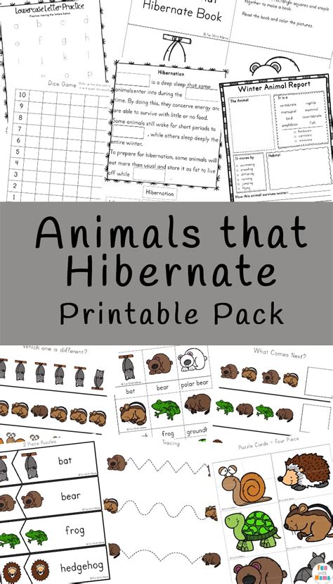 Hibernation Printable Activities