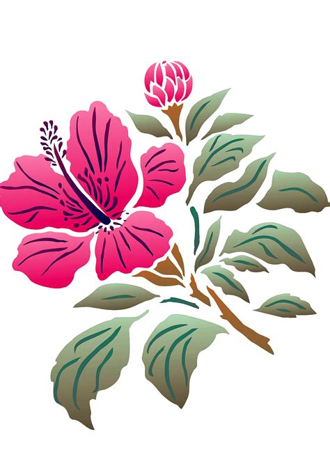 Hibiscus motif in design