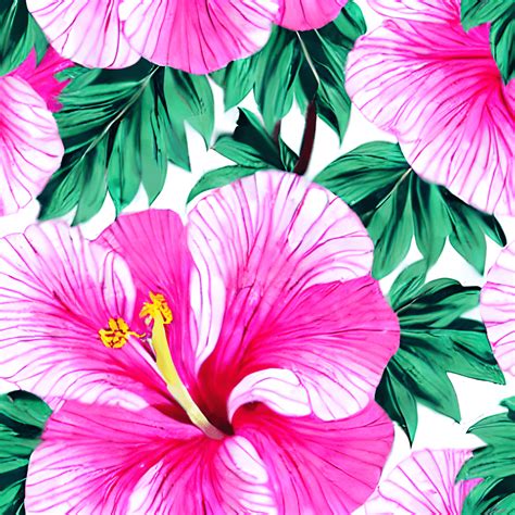 Hibiscus motif in tradition