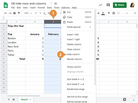 Hiding Rows in Google Sheets Using Formulas