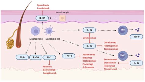 Description of Hidradenitis Future Research