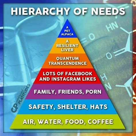 A humorous example of the Hierarchy of Needs meme template