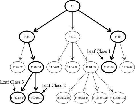 Hierarchy Tree Org Chart Template