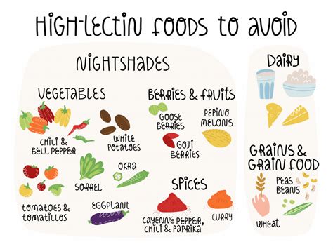 Image of High-Lectin Foods