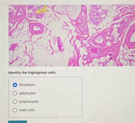 Highlighted cells example