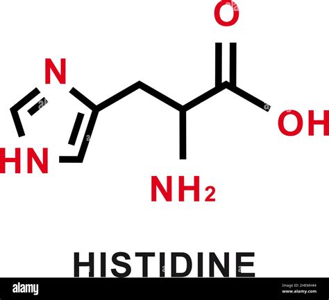 Histidine structure illustration