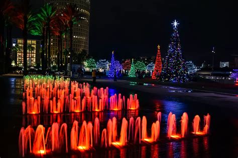 Holiday Lights in Tampa