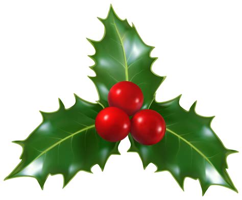 Holly Clipart