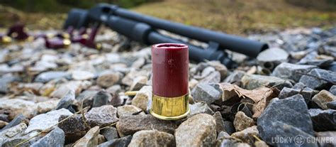 Home Defense with 4ga Shotgun Shells