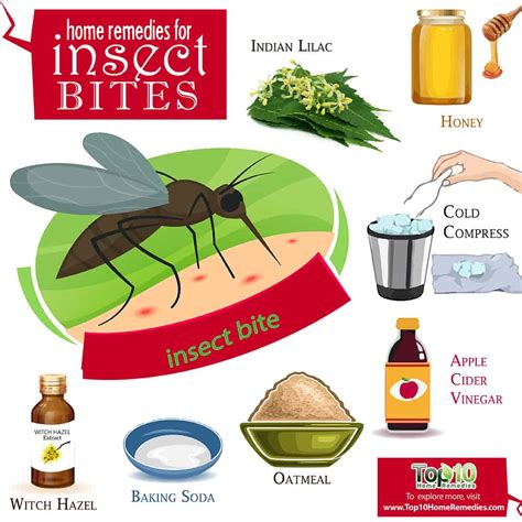 Home Remedies for Bug Bites